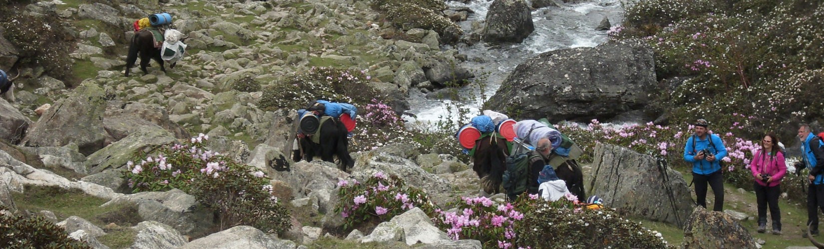 Lhasa Ganden Tour