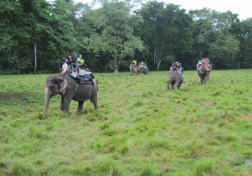 Jungle safari in Chitwan National Park